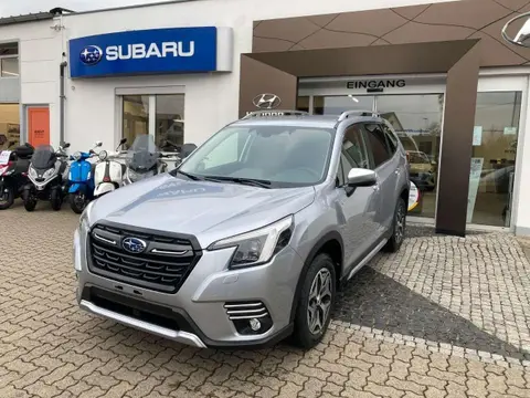 Used SUBARU FORESTER Petrol 2024 Ad 