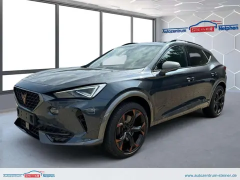 Used CUPRA FORMENTOR Petrol 2024 Ad 