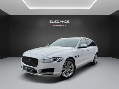 Used JAGUAR XF Diesel 2019 Ad 