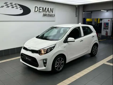 Used KIA PICANTO Petrol 2024 Ad 