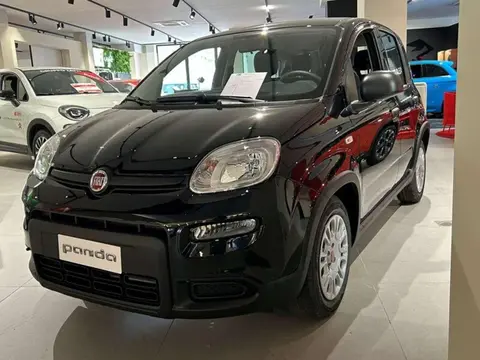 Used FIAT PANDA Hybrid 2023 Ad 