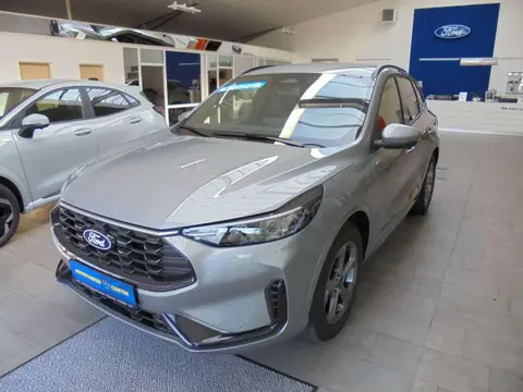 Used FORD KUGA Petrol 2024 Ad 