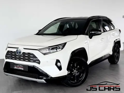 Annonce TOYOTA RAV4 Hybride 2019 d'occasion 