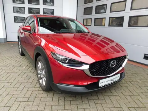 Annonce MAZDA CX-30 Essence 2020 d'occasion 