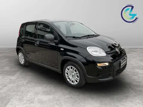 Used FIAT PANDA Hybrid 2024 Ad 