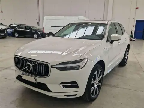 Annonce VOLVO XC60 Hybride 2021 d'occasion 