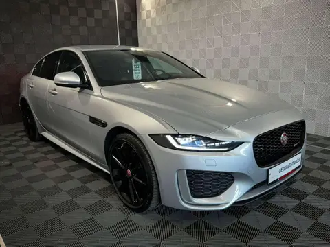 Annonce JAGUAR XE Diesel 2020 d'occasion 