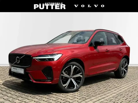 Used VOLVO XC60 Diesel 2023 Ad 