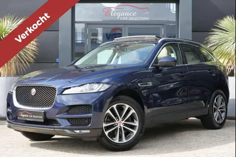 Used JAGUAR F-PACE Diesel 2018 Ad 