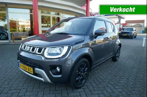 Used SUZUKI IGNIS Hybrid 2022 Ad 