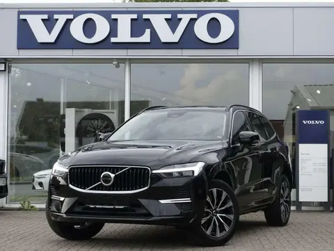 Annonce VOLVO XC60 Diesel 2024 d'occasion 