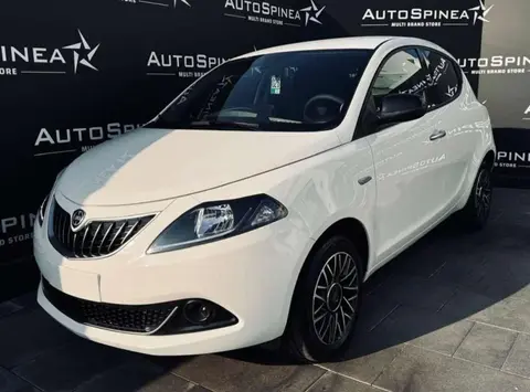 Annonce LANCIA YPSILON GPL 2024 d'occasion 