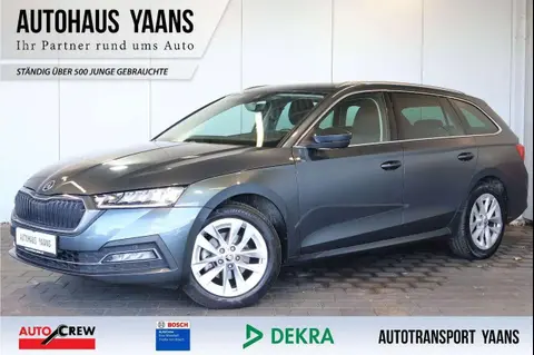 Annonce SKODA OCTAVIA Diesel 2020 d'occasion 