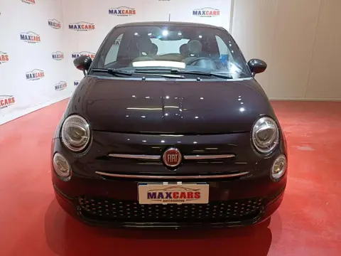 Annonce FIAT 500 Hybride 2021 d'occasion 