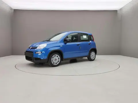 Used FIAT PANDA Hybrid 2024 Ad 