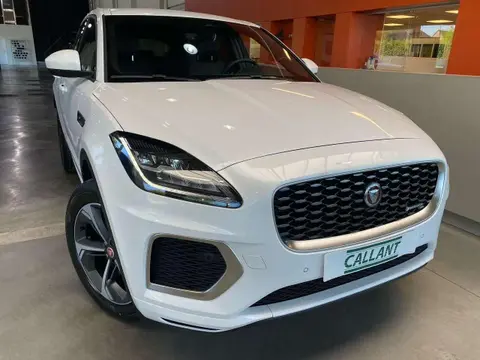 Used JAGUAR E-PACE Hybrid 2023 Ad 