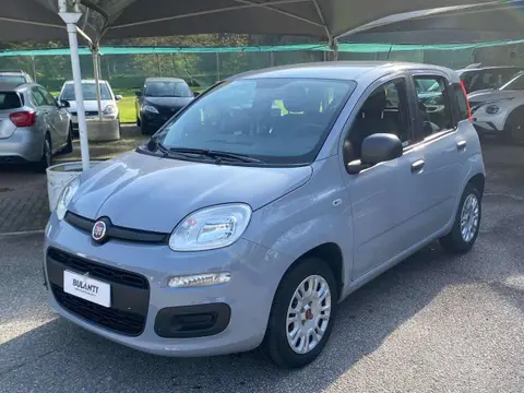 Used FIAT PANDA Petrol 2018 Ad 