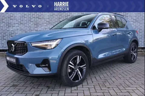 Used VOLVO XC40 Hybrid 2023 Ad 