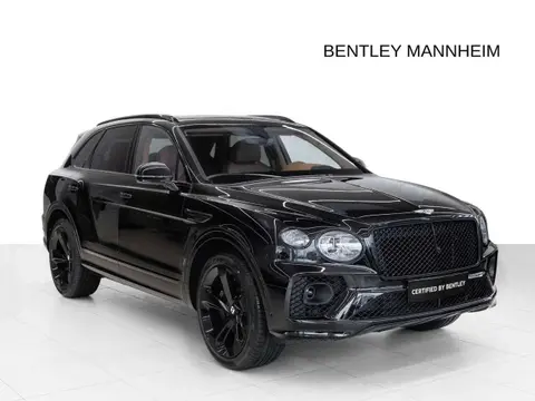 Used BENTLEY BENTAYGA Petrol 2024 Ad 