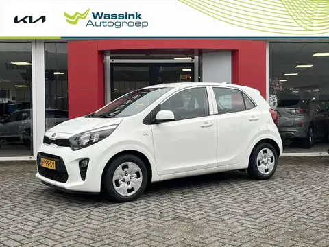 Annonce KIA PICANTO Essence 2020 d'occasion 