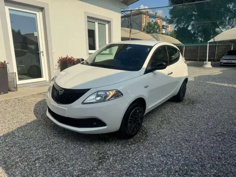 Used LANCIA YPSILON Hybrid 2024 Ad 