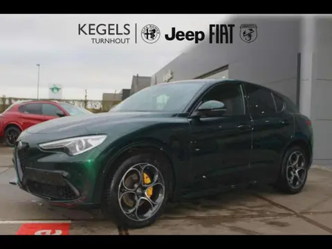 Used ALFA ROMEO STELVIO Petrol 2020 Ad 