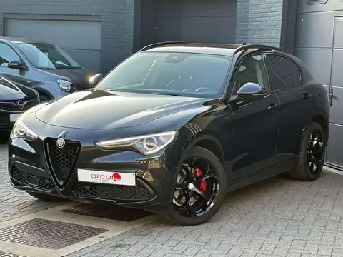 Used ALFA ROMEO STELVIO Diesel 2021 Ad 