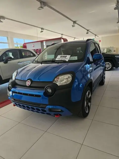 Used FIAT PANDA Hybrid 2024 Ad 