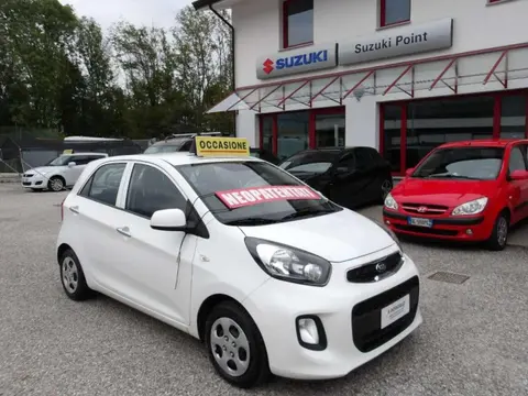 Used KIA PICANTO Petrol 2016 Ad 