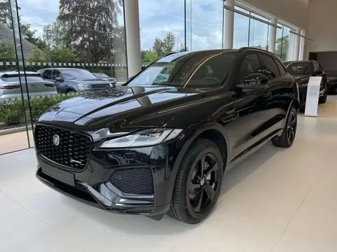 Used JAGUAR F-PACE Hybrid 2024 Ad 