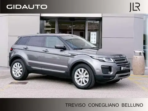 Annonce LAND ROVER RANGE ROVER EVOQUE Diesel 2017 d'occasion 