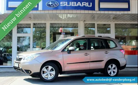 Annonce SUBARU FORESTER Essence 2014 d'occasion 