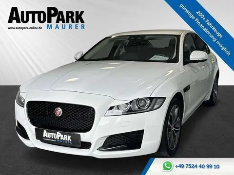 Annonce JAGUAR XF Diesel 2019 d'occasion 