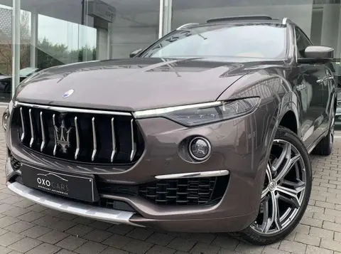 Used MASERATI LEVANTE Diesel 2019 Ad 