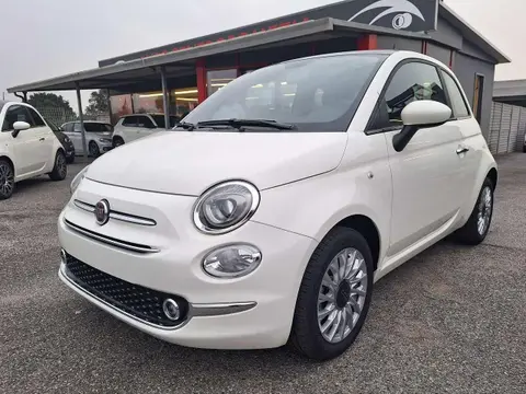 Used FIAT 500 Hybrid 2024 Ad 