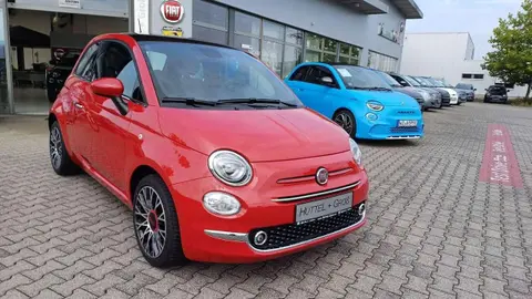 Used FIAT 500 Petrol 2023 Ad 