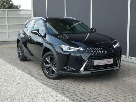 Annonce LEXUS UX Hybride 2021 d'occasion 