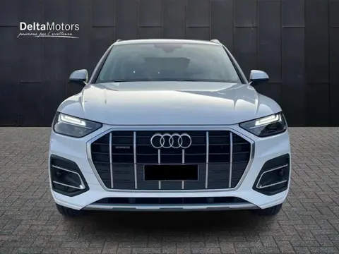 Used AUDI Q5 Hybrid 2021 Ad 