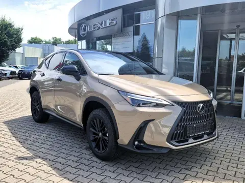 Used LEXUS NX Hybrid 2024 Ad 