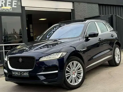 Used JAGUAR F-PACE Diesel 2019 Ad 