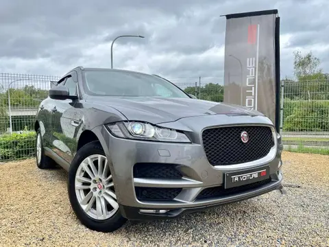 Used JAGUAR F-PACE Diesel 2018 Ad 