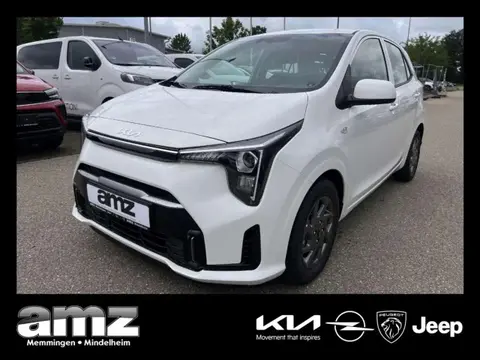 Used KIA PICANTO Petrol 2024 Ad 