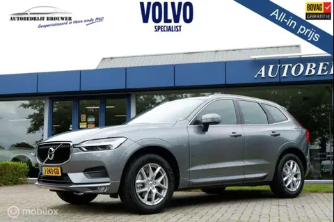 Annonce VOLVO XC60 Essence 2019 d'occasion 