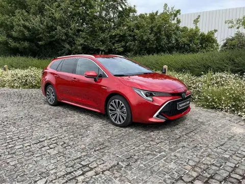 Used TOYOTA COROLLA Hybrid 2023 Ad 