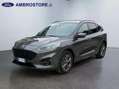 Used FORD KUGA Hybrid 2021 Ad 