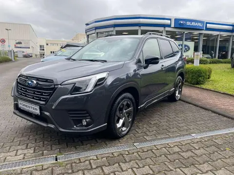 Annonce SUBARU FORESTER Hybride 2023 d'occasion 