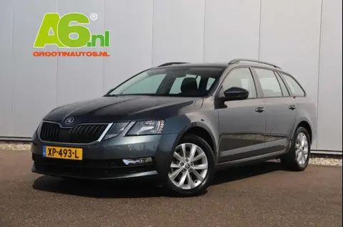 Used SKODA OCTAVIA Petrol 2019 Ad 