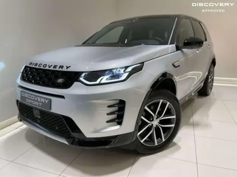 Annonce LAND ROVER DISCOVERY  2024 d'occasion 