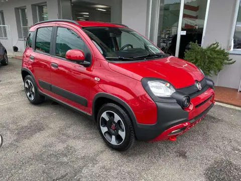 Used FIAT PANDA Hybrid 2024 Ad 