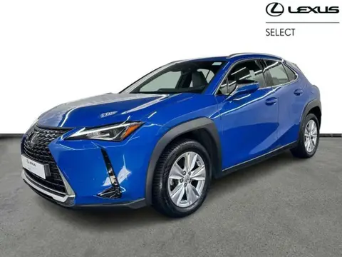 Used LEXUS UX Hybrid 2021 Ad 